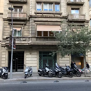 ** Affittacamere Somnio Spagna